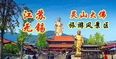 艹嫩b江苏无锡灵山大佛旅游风景区